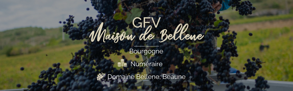 GFV Maison de Bellene