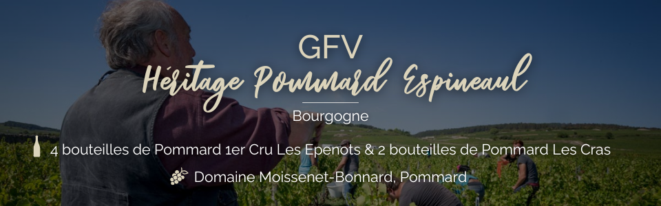 GFV Pommard Espineaul