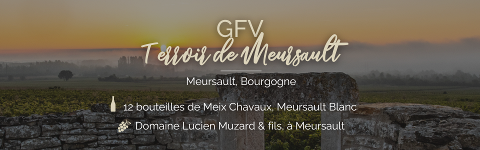 GFV Terroir de Meursault